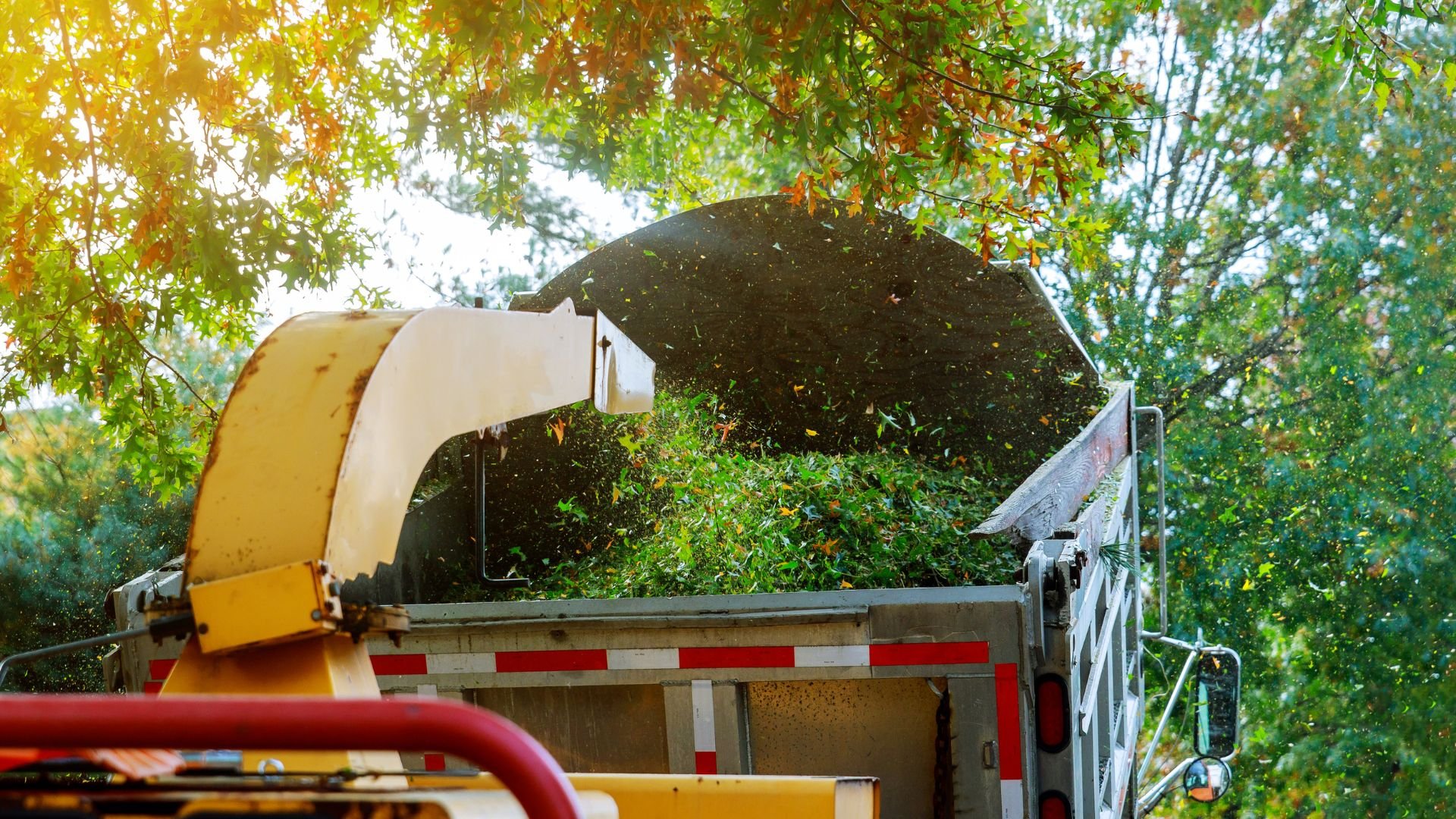 Wood chipper processing branches amid autumn trees with flying wood chips