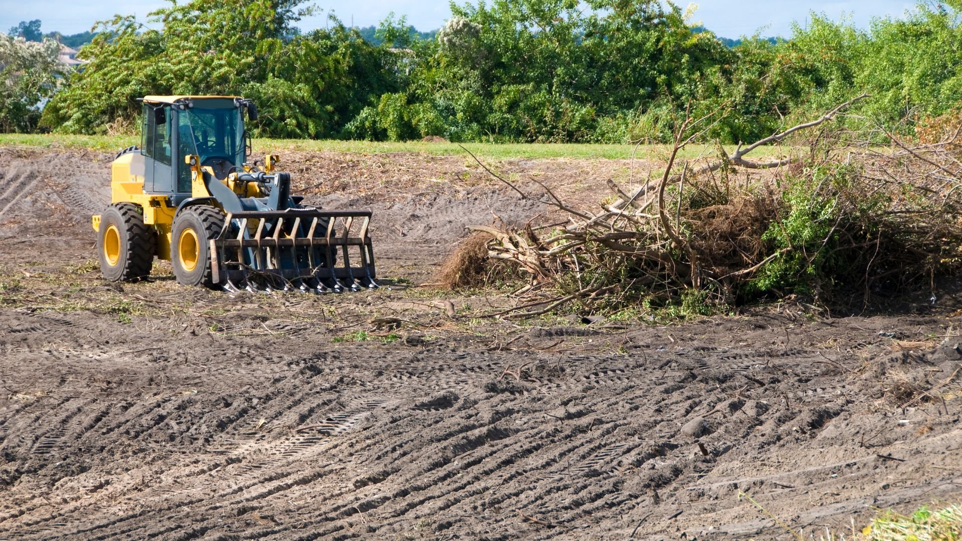Yellow front-end loader clearing land with tree debris nearby